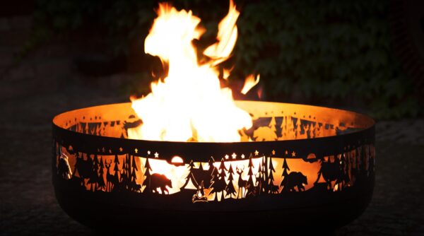 fire-pit-forest-4