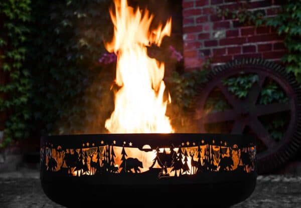 fire-pit-forest-3