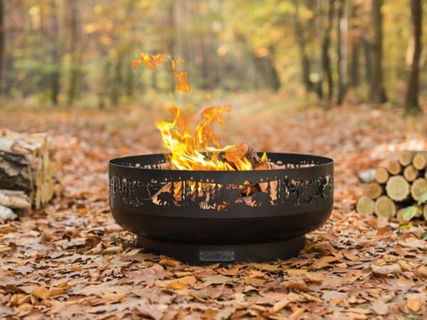 fire-pit-forest-1